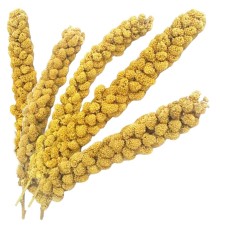 Fizzy Doğal Sarı Dal Darı 5 li Fizzy Doğal Sarı Dal Darı 5 li