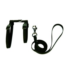 Kedi Göğüs Bel Tasması Dokuma 22/36 cm Siyah Kedi Göğüs Bel Tasması Dokuma 22/36 cm Siyah