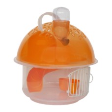 Eastland Hamster Evi