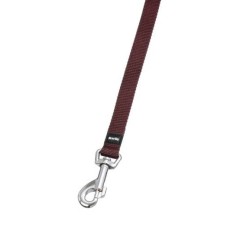 Karlie Uzatma Tasma 100Cm-20Mm K.rengi