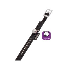 Karlie Deri Taşli Kedi Tasma Xs 30Cm-11Mm Siyah