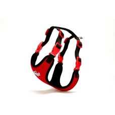Doggie Havalı Köpek Göğüs Tasması 30x35 cm Kırmızı Doggie Havalı Köpek Göğüs Tasması 30x35 cm Kırmızı