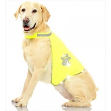 Pawise Fosforlu Köpek Yeleği Small 30*46 cm Pawise Fosforlu Köpek Yeleği Small 30*46 cm