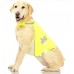 Pawise Fosforlu Köpek Yeleği Small 30*46 cm Pawise Fosforlu Köpek Yeleği Small 30*46 cm