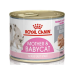 Royal Canin Mother Baby Cat Kedi Ultra Soft Mousse 195Gr Royal Canin Mother Baby Cat Kedi Ultra Soft Mousse 195Gr