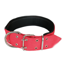 İri Irk Köpek Boyun Tasması 5 x 80 cm Kırmızı