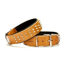 Doggie Ektsra Çivili Deri Köpek Boyun Tasması 5x55-65 cm Kamel