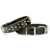 Doggie Ektsra Çivili Köpek Boyun Tasması 4x52-60 cm Siyah