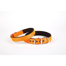 Doggie Softlu Köpek Boyun Tasması 3 cm x 55 cm Turuncu