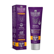 Delibon Effective Üriner Sistem Destekleyici Kedi Malt Macunu 100 gr Delibon Effective Üriner Sistem Destekleyici Kedi Malt Macunu 100 gr