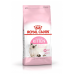 Royal Canin Kitten 36 Yavru Kedi Maması 10 KG Royal Canin Kitten 36 Yavru Kedi Maması 10 KG