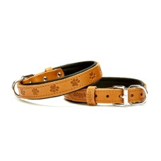 Doggie Küçük Köpek Tasması Pati Desenli 45 cm Small Doggie Küçük Köpek Tasması Pati Desenli 45 cm Small