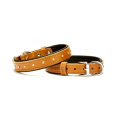 Doggie Konforlu Deri Swarovski Kristal Taşlı Köpek Boyun Tasması 2 x 28-34 cm Kamel