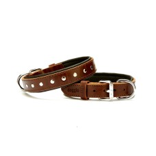 Doggie Deri Rivetli Köpek Tasması 2,5x37-45 cm Kahverengi