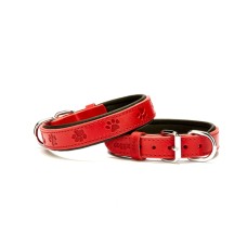 Doggie Pati Desenli Deri Köpek Boyun Tasması 2,5x37x45 cm Kırmızı Doggie Pati Desenli Deri Köpek Boyun Tasması 2,5x37x45 cm Kırmızı
