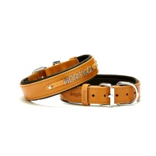 Doggie Deri İsimlikli Köpek Tasması 3x42-50 cm Kamel