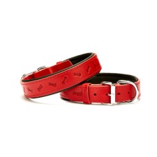 Doggie Kemik Desenli Deri Köpek Boyun Tasması 3x42x50 cm Kırmızı Doggie Kemik Desenli Deri Köpek Boyun Tasması 3x42x50 cm Kırmızı
