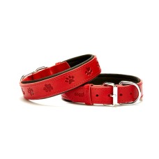 Doggie Pati Desenli Deri Köpek Boyun Tasması 3x42x50 cm Kırmızı Doggie Pati Desenli Deri Köpek Boyun Tasması 3x42x50 cm Kırmızı