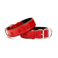 Doggie Pati Desenli Deri Köpek Boyun Tasması 4x47x55 cm Kırmızı Doggie Pati Desenli Deri Köpek Boyun Tasması 4x47x55 cm Kırmızı