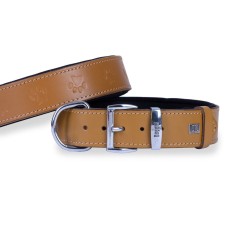 Doggie Pati Desenli Deri Köpek Boyun Tasması 4x57x65 cm Kamel Doggie Pati Desenli Deri Köpek Boyun Tasması 4x57x65 cm Kamel