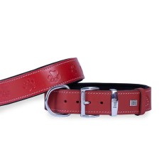 Doggie Pati Desenli Deri Köpek Boyun Tasması 4x52x60 cm Kırmızı Doggie Pati Desenli Deri Köpek Boyun Tasması 4x52x60 cm Kırmızı