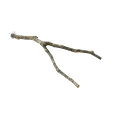 Doğal Ahşap Papağan Tüneği Küçük 10*20 cm Doğal Ahşap Papağan Tüneği Küçük 10*20 cm