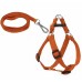 Köpek Göğüs Tasma Seti 30-50 cm Turuncu + Gezdirme Kayışı