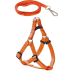 Köpek Göğüs Tasma Seti 25-40 cm Turuncu + Gezdirme Kayışı