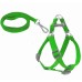 Köpek Göğüs Tasma Seti 25-40 cm Yeşil + Gezdirme Kayışı Köpek Göğüs Tasma Seti 25-40 cm Yeşil + Gezdirme Kayışı
